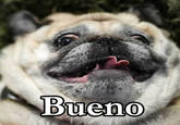 Bueno