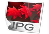 Filename Extensions