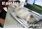 If It Fits I Sits