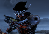 Marauder Shields