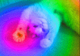Tripping Balls