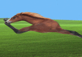 Retarded Running Horse / Two Legged Horse
