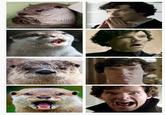 Sherlock