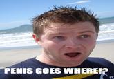 Penis Goes Where/Cock goes where