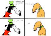 Dolan