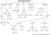 Differenze Linguistiche