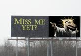 Miss Me Yet?