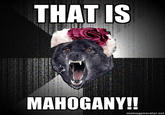 Insanity Wolf