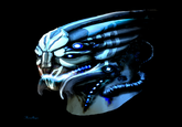 Marauder Shields