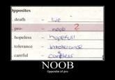 Noob