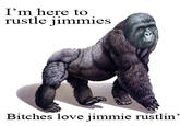 That Really Rustled My Jimmies