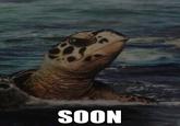 SOON