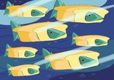 Breadfish