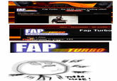 Fap Guy