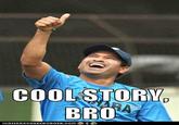 Cool Story, Bro