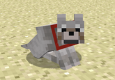 My Faggot Dog