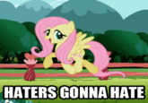 My Little Pony: Friendship is Magic
