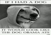 Obama the Eater of Dogs