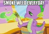 Smoke Weed Everyday