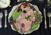 Obama the Eater of Dogs