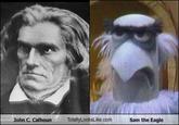 Totally Looks Like / Separated At Birth