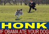 Obama the Eater of Dogs