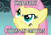 My Little Pony: Friendship is Magic