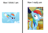 What You Think You Look Like vs. What You Actually Look Like