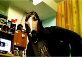 Horse Head Mask