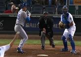 Royals Book Guy
