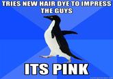 Socially Awkward Penguin