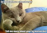 Willy Wonkat