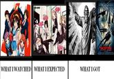 What I Watched / What I Expected / What I Got