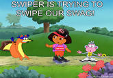 Swag