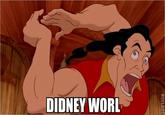 Didney Worl