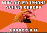 Anti-Joke Chicken