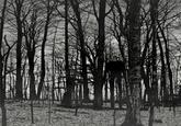 Slender Man