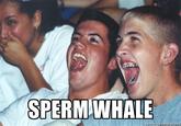 Immature High Schoolers
