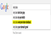Google Search Box Suggestions 