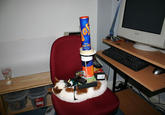 Cat Buckaroo