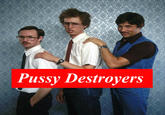 Cunt Destroyer