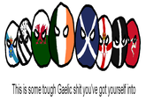 Polandball