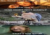 One Does Not Simply Walk into Mordor