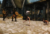 The Elder Scrolls