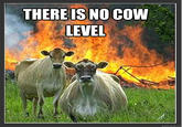 Evil Cows