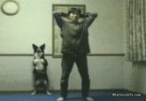 Dogs