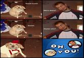 6O163's DOG