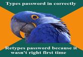 Paranoid Parrot