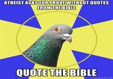 Religion Pigeon