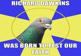 Religion Pigeon